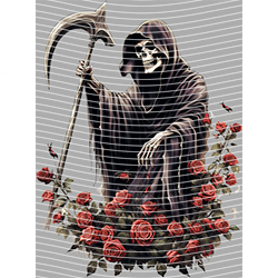 Halloween-WS 9530